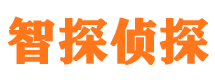 金山市侦探调查公司